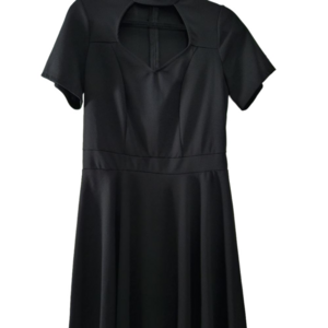 💕💘Ashley Stewart Peek a Boo Skater Sweetheart Choker Neckline Dress💔❤️